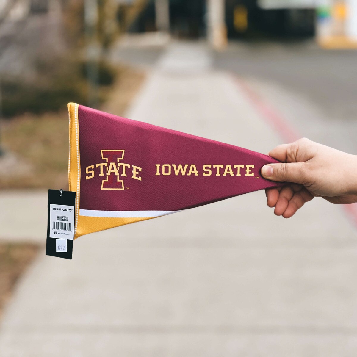 I-State Pennant Plush Squeaky Pet Toy